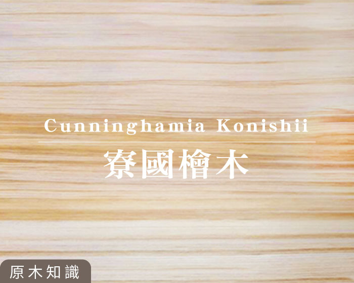 寮國檜木  <span>Cunninghamia Konishii</span>