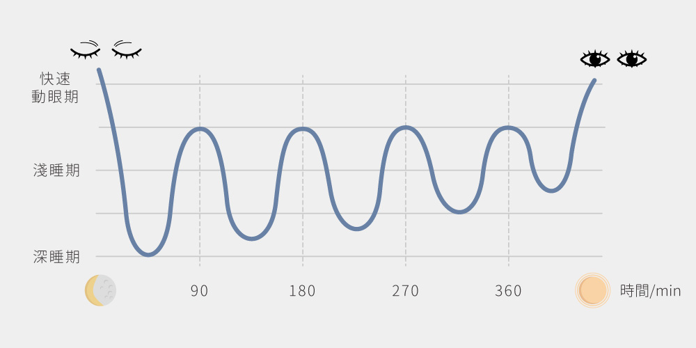 睡眠週期波形圖。